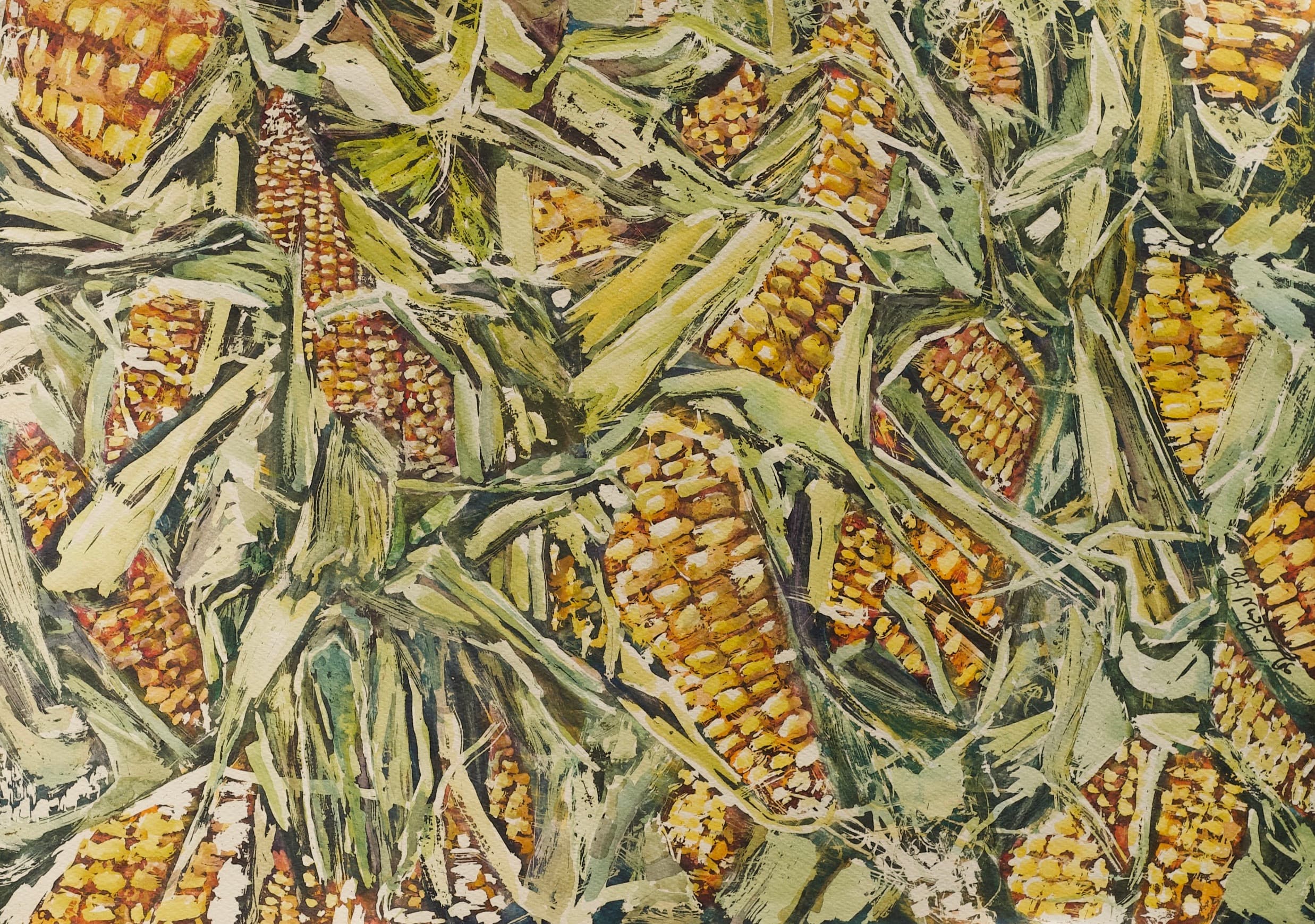 Harvest of Corn